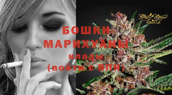 прущий лед Абаза