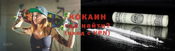 прущие грибы Ладушкин