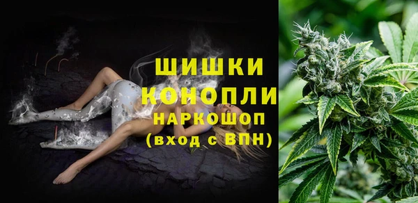 прущий лед Абаза