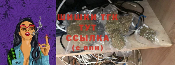 прущие грибы Ладушкин